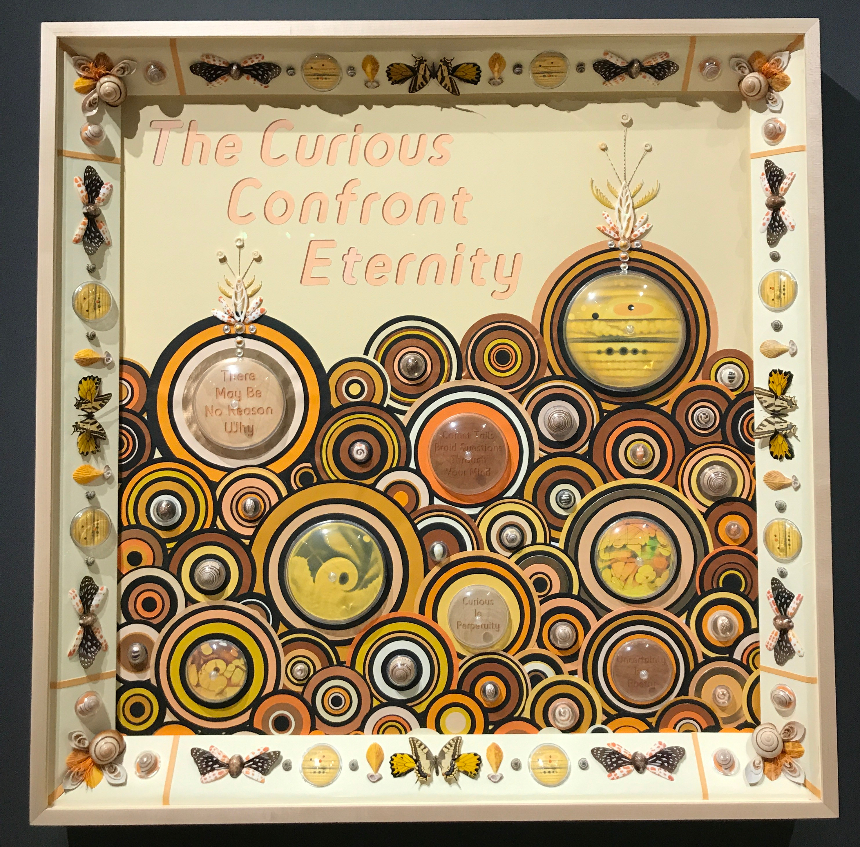 Dario Robleto Curious Confront Eternity