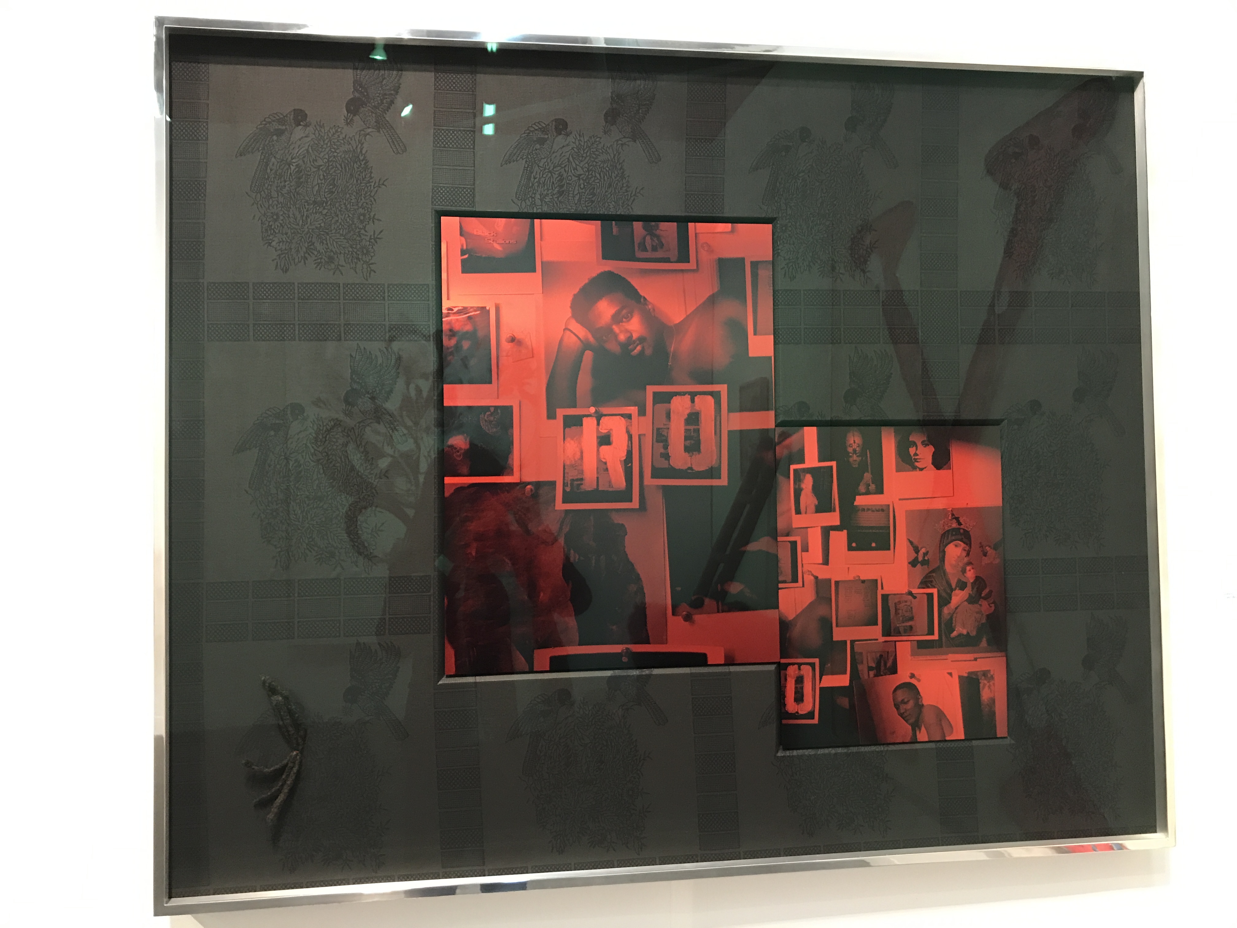 Ashton Harris Black Hummingbird 1