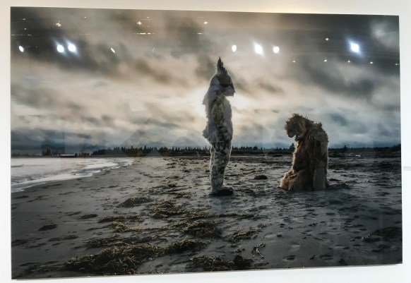 Laura Jane Petelko Soft Series